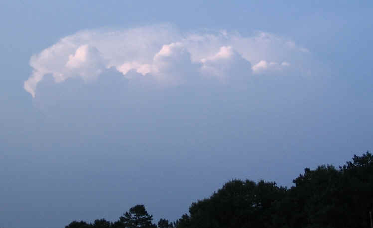 wpe21.jpg (14359 bytes)